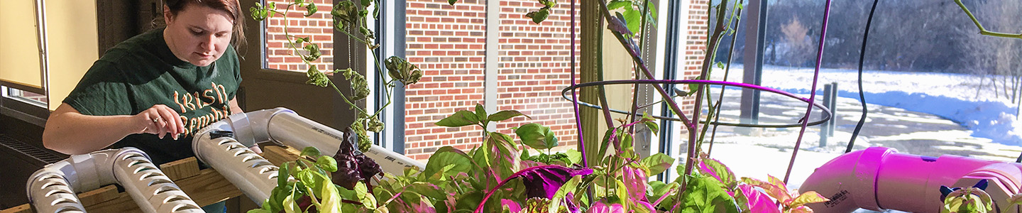 Agricultural student building an Aquaponic growing system