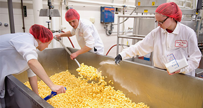 Three Food Science students mixing a batch of cheese curds