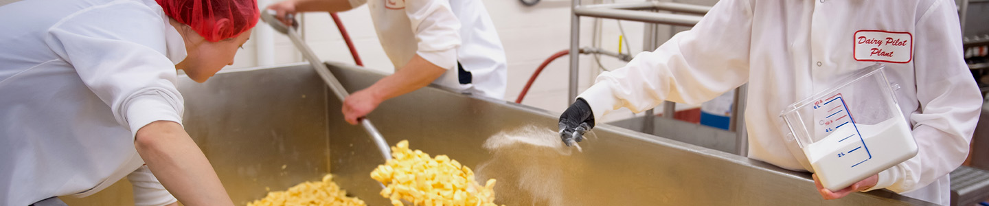 Three Food Science students mixing a batch of cheese curds