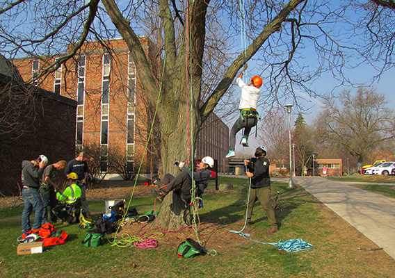 Horticulture students participate in a tree climbing exercise