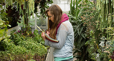 Horticulture student studying plants in the campus greenhouse