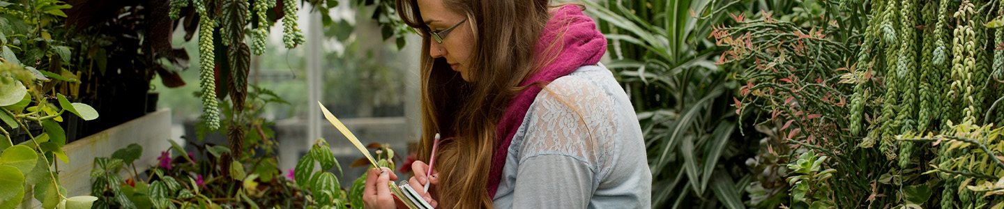 Horticulture student studying plants in the campus greenhouse