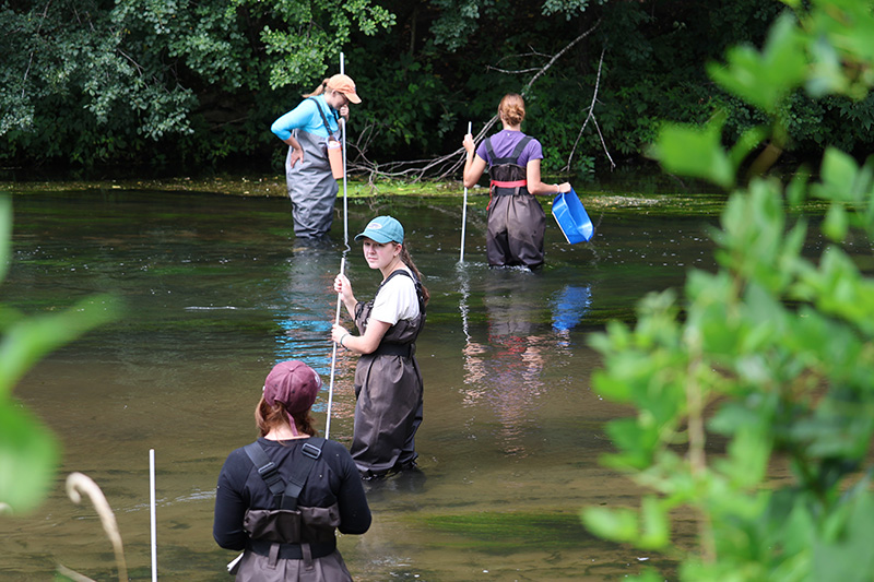 four people wearing chest waders stand in a river while collecting samples