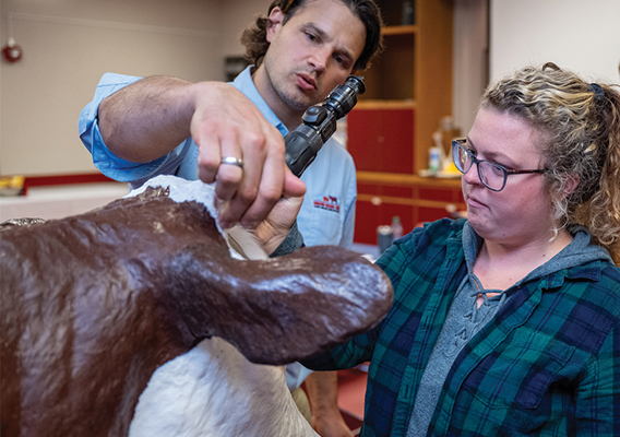 learning captive bolt placement