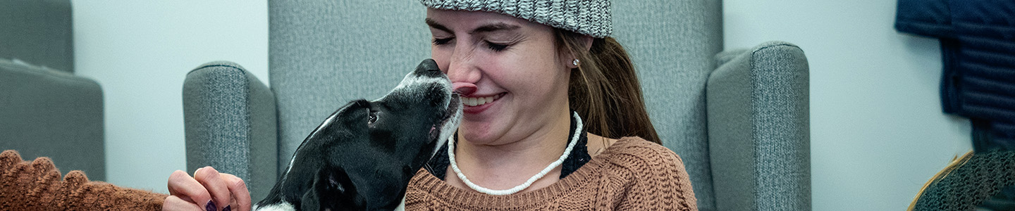 Student being licked by a dog during a "Pet Therapy" session