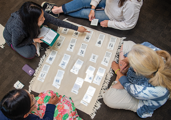 group of 4 montessori teachers workshop together over a science mat while sitting on the floor