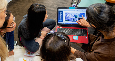 Montessori Teacher Education student points to a graph on their laptop