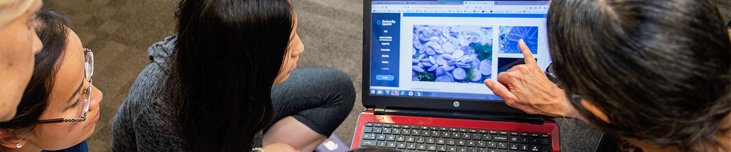 Montessori Teacher Education student points to a graph on their laptop