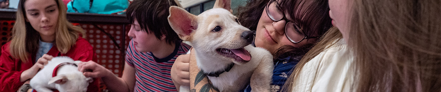 Pre-Veterinary student pets puppy during class