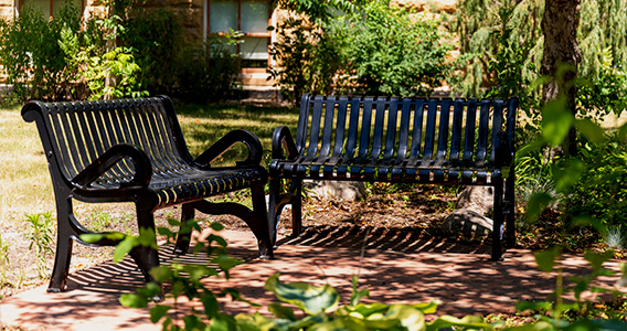 Two metal benches sit empty in the shade of a large tree nearby