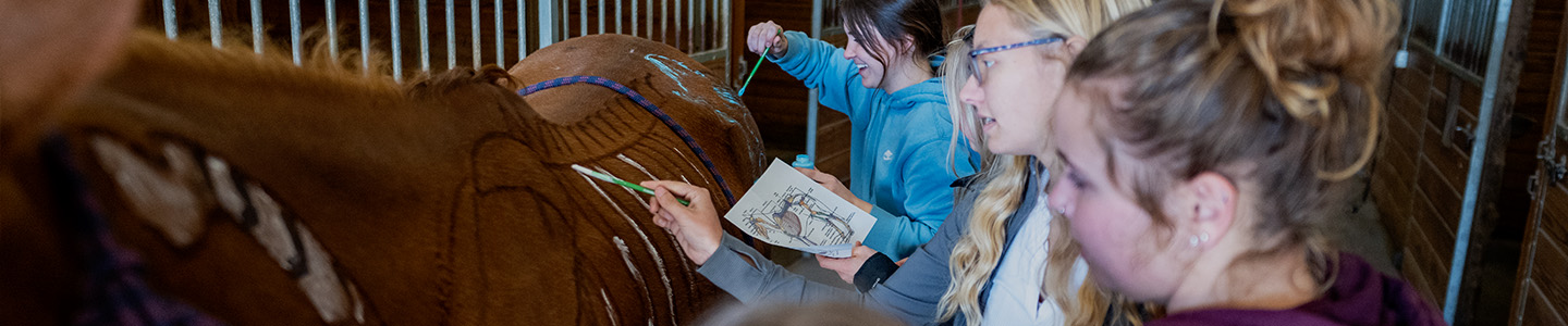Three female students use paintbrushes to paint a skeleton on a horse