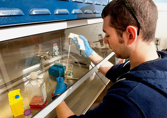 Biology student fills a test tube during a lab class