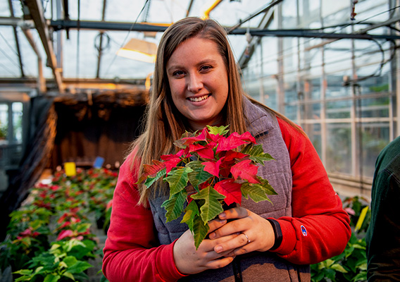 Student employee working in the campus greenhouse