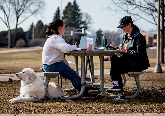 Two students study their notes at a picnic table with their dog