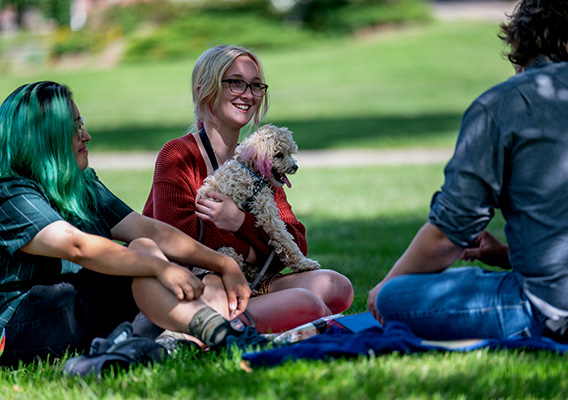 A group of students sitting on a blanket in the grass with a puppy