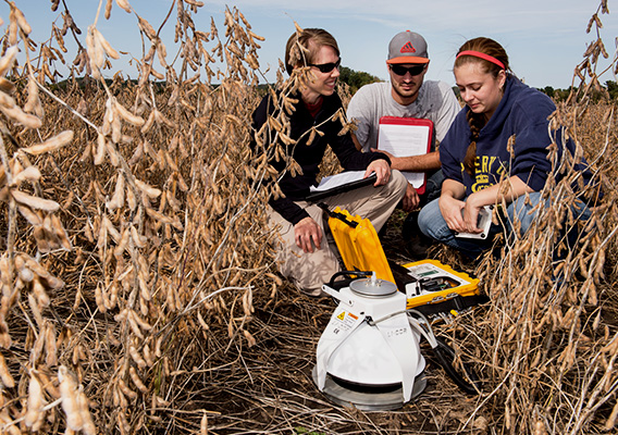 Three students kneel in a dry corn field studying soil