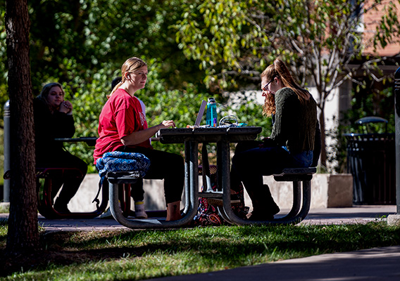 Students sitting outside on a bench on campus