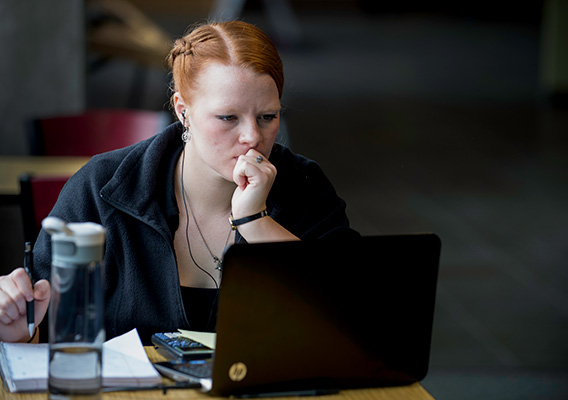 Student studies on their laptop in the University Center