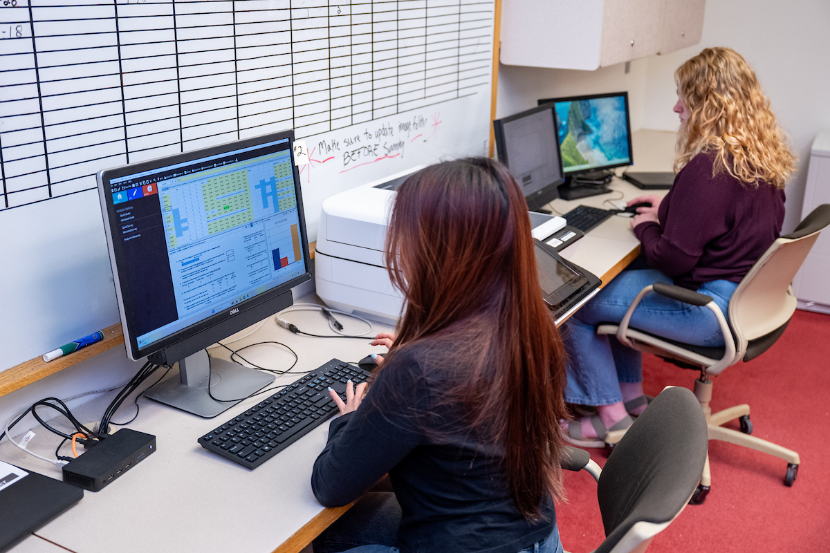 two students are seen sitting at computers with their backs to the camera