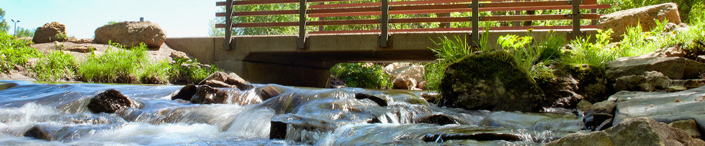 Bridge over the South Fork of the Kinnickinnic River