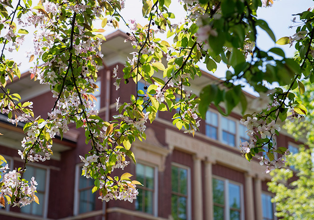 Outside of South Hall