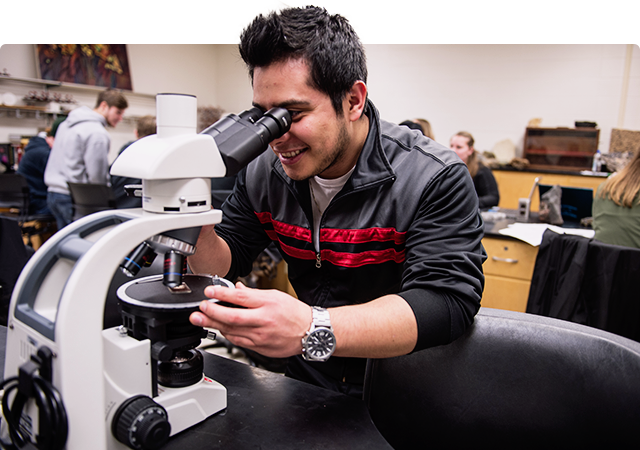 Geology student views a specimen through a microscope