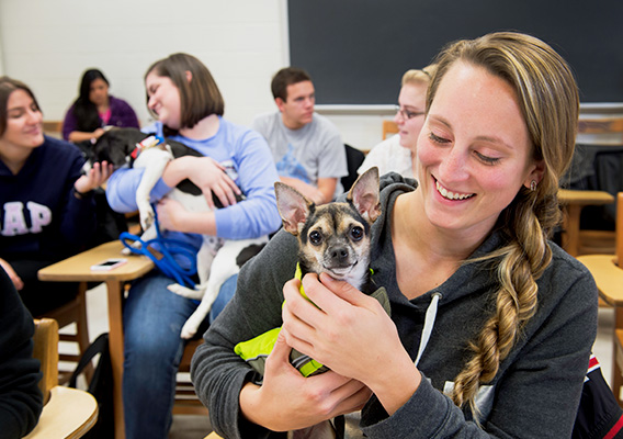 Veterinary Student pets a dog during class